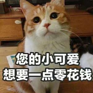 猫啃树头像