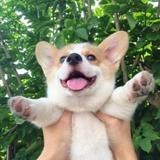 朱振亿呀头像