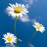 用户2012775633500头像