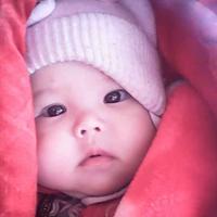 小成36974808头像