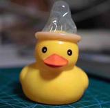零玖玖玖玖玖玖玖头像