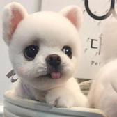 奇思妙想的梦头像