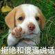用户922759999243头像