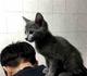 聪慧花猫6n9 · 哈弗大狗车主·车龄1年头像