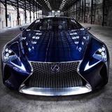 美好的事物502头像