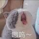 彩虹糖geely头像