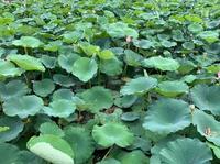 用户5667176874644头像