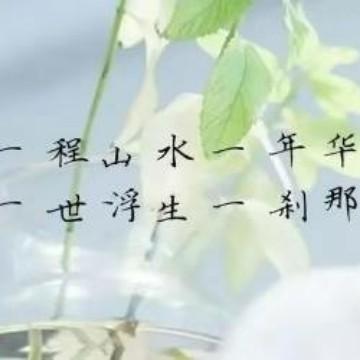 熙茶悦欣头像
