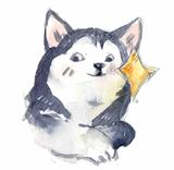 广汽本田夏雪辉头像