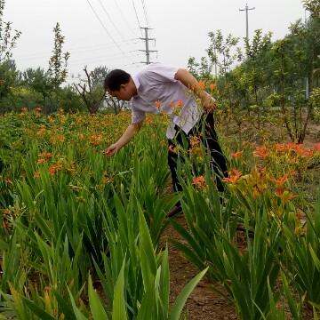 本草频道头像