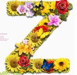 羽习习习习头像