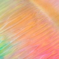 逆转局势不可挡头像