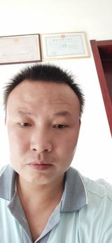 耕耘的牛一头像