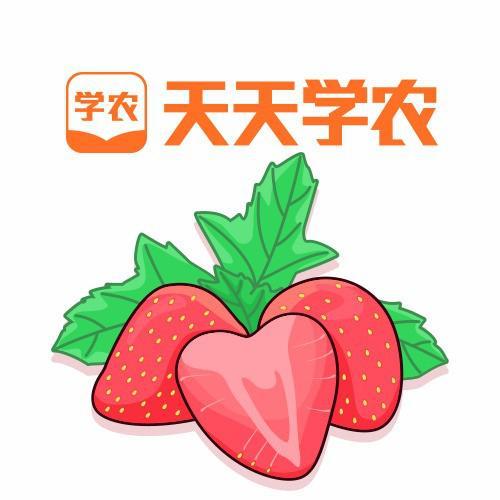 天天学农草莓种植团队头像