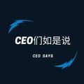 CEO们如是说头像