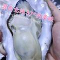 蛎子辉哥头像