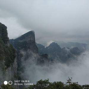 装饰背锅崽头像