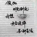 用户4951221524993头像