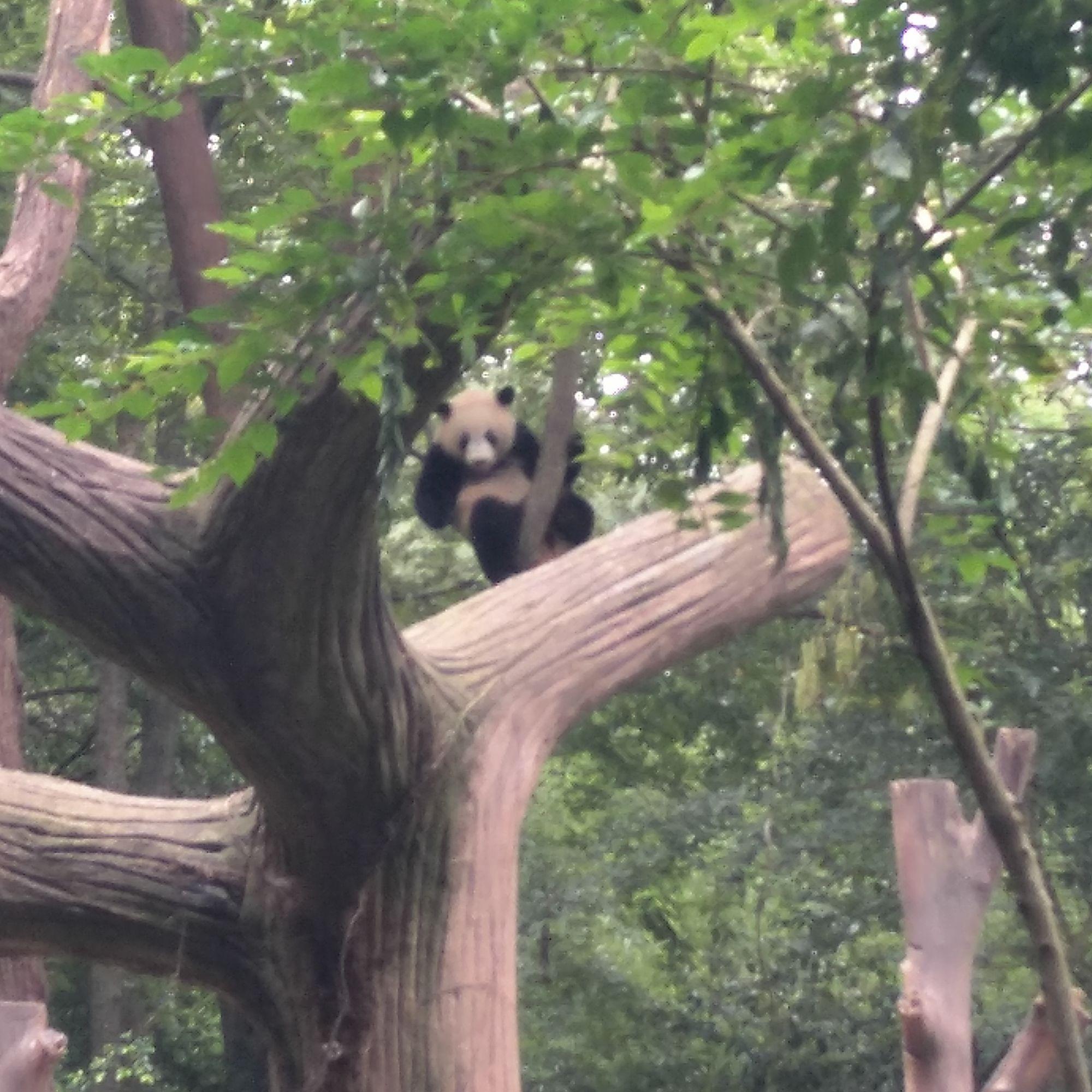 小纤看新鲜头像