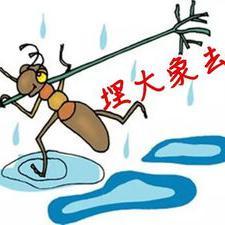 小马虎的带娃日记头像
