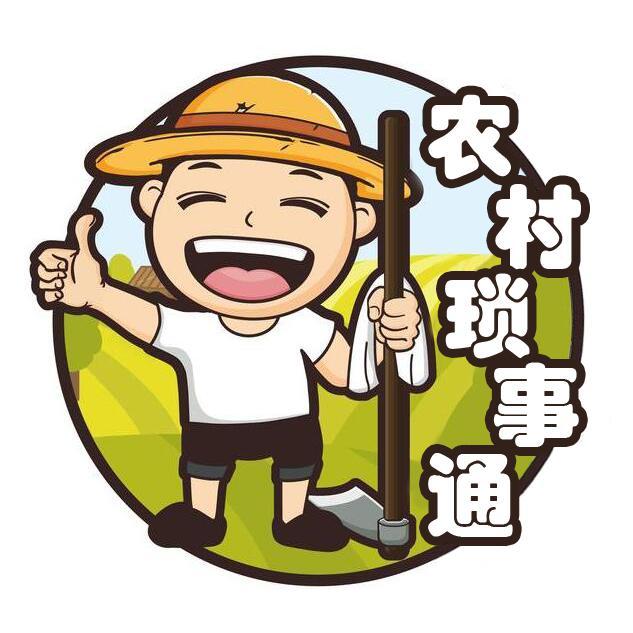 农村琐事通头像