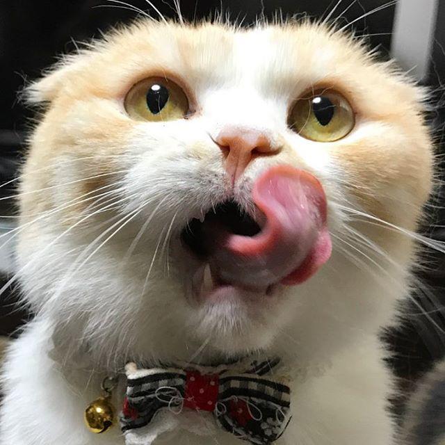 枣庄王笑笑生头像