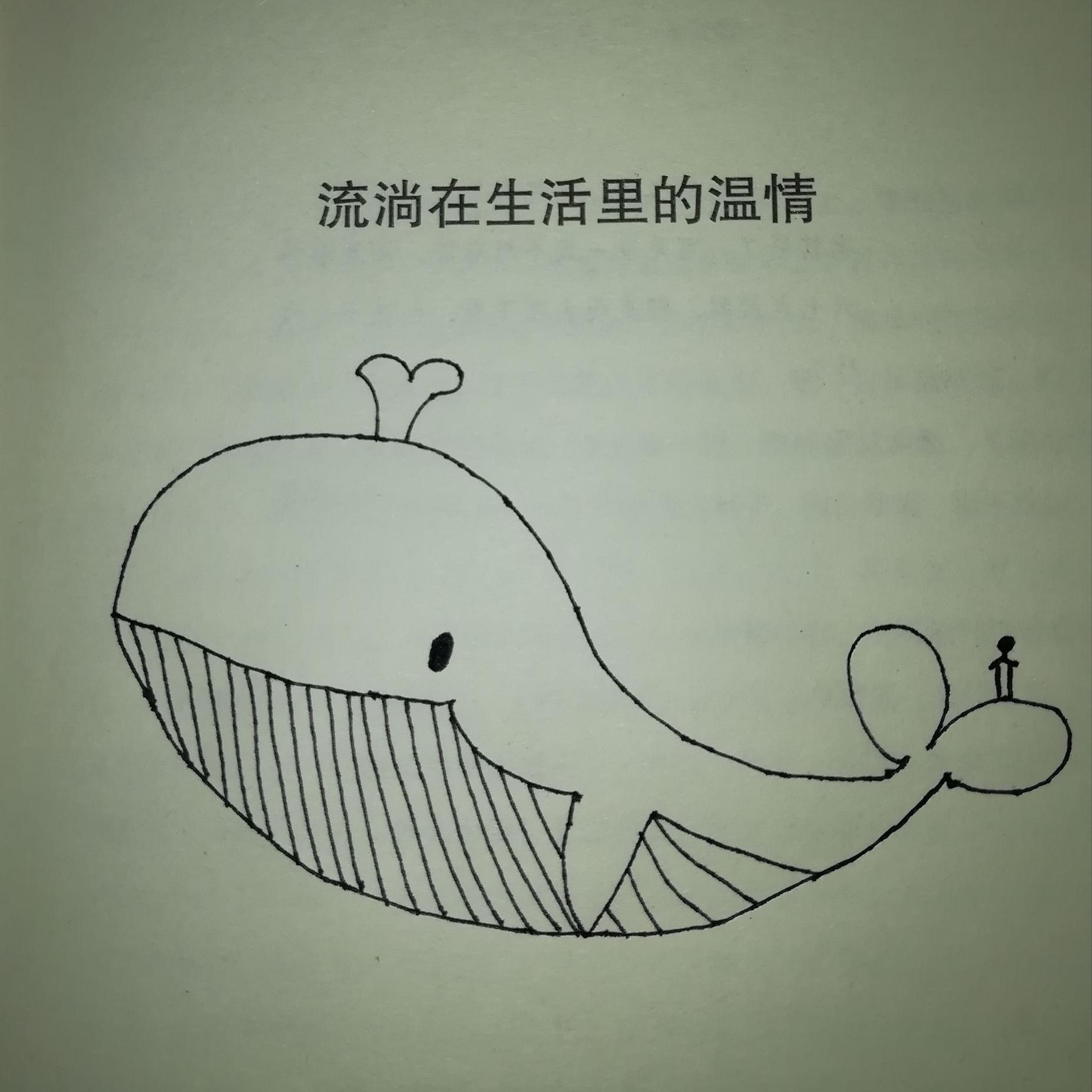 孤独的鲸鱼头像