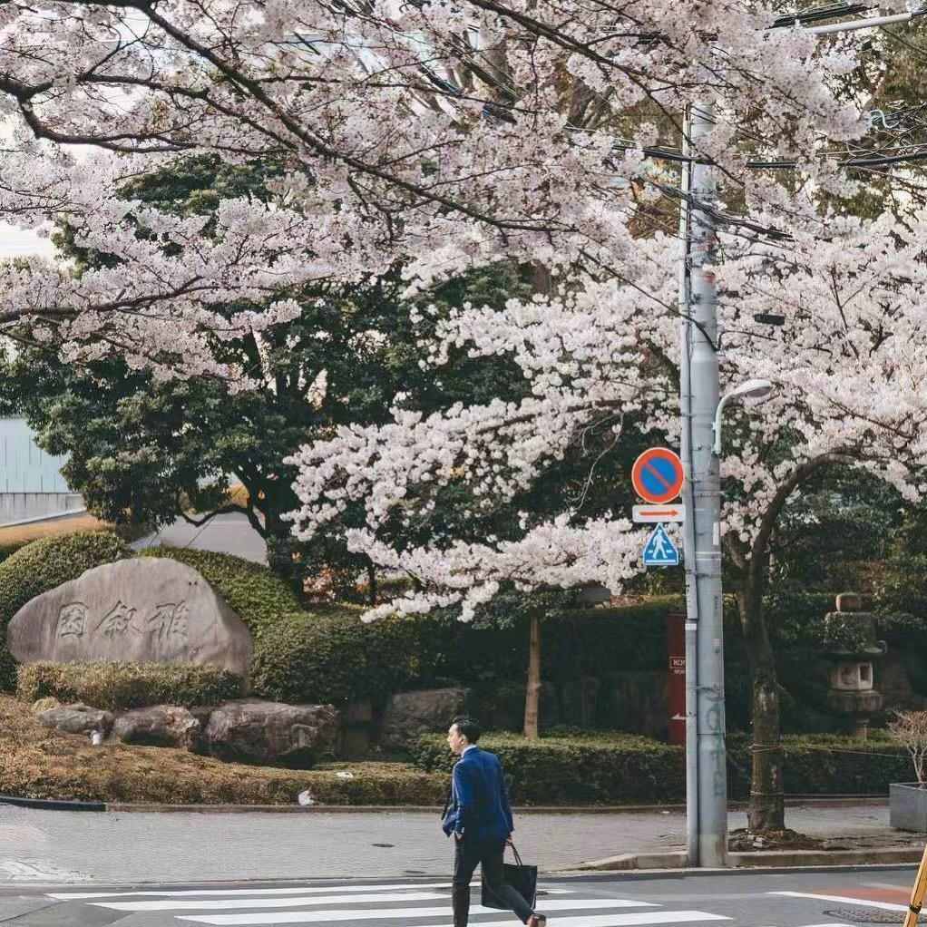 小小小小不点呀头像