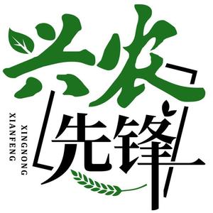 兴农先锋头像