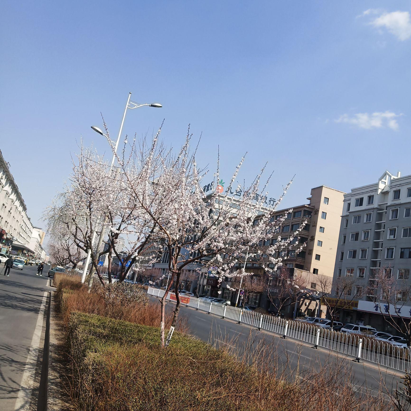 花花小花我就是是头像