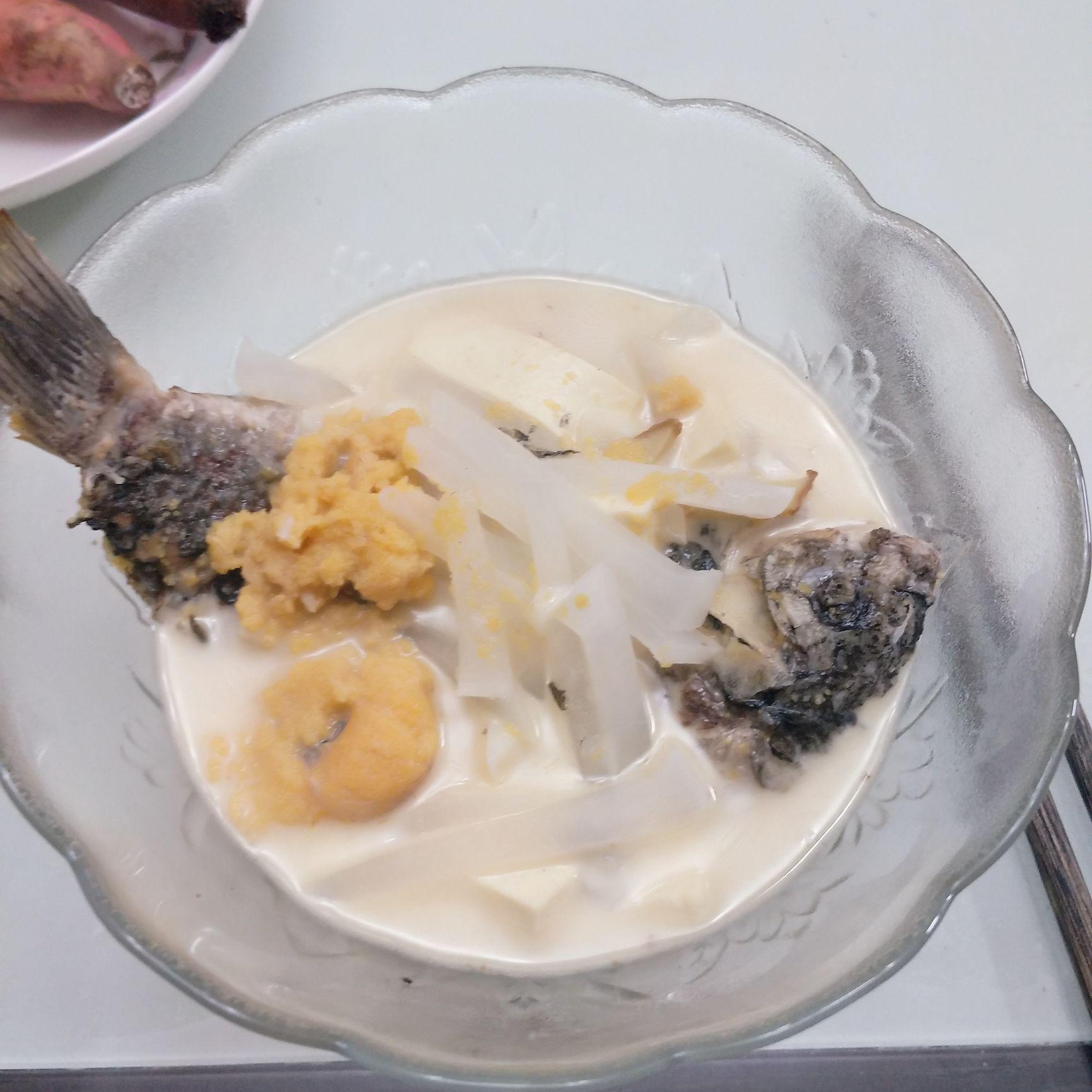 啦啦啦小象头像