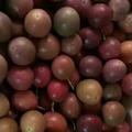 种养殖业阿飞头像