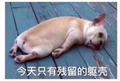 当你老了179904612头像