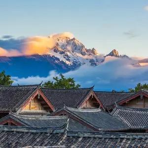 夏雨至优西藏墨脱山货头像