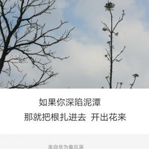 一颗向阳的心66头像