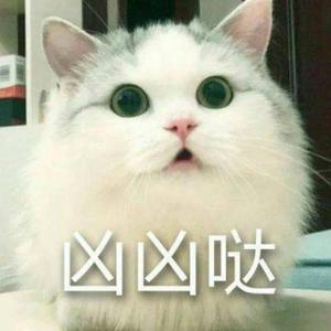 胖猫说游戏头像