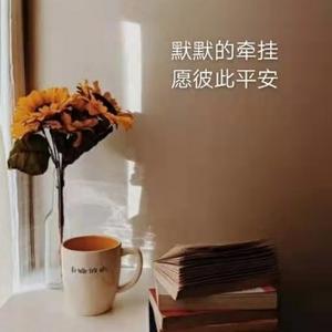 阳光3541154头像