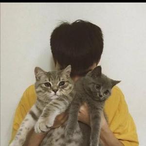 小靓仔铁粉头像