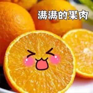 以橙为本头像