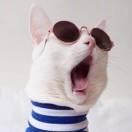 程咬金同学的个人资料头像