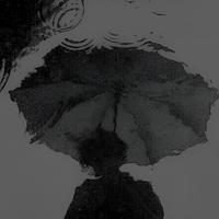 l3z21头像