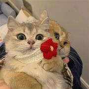 beautiful的大白蛋蛋的个人资料头像