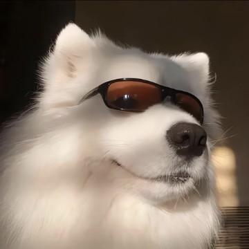 恶性文艺青年头像