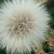 旭阳东升的个人资料头像