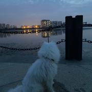 Lei995的个人资料头像