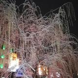 佛缘8169头像