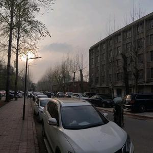 七月夏雨的剧场头像