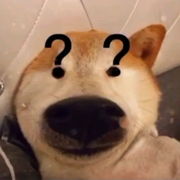 爱吃饭的汤的个人资料头像