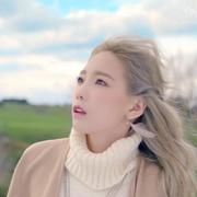 minheeDitto的个人资料头像