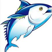 望天行缘的个人资料头像